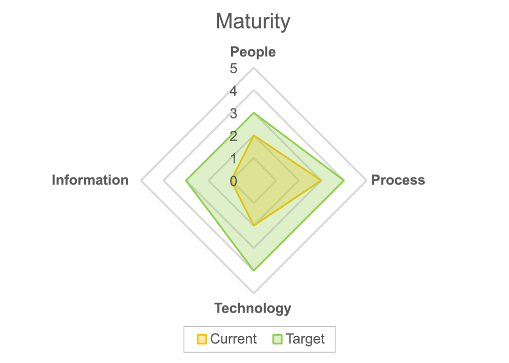  Maturity dimensions