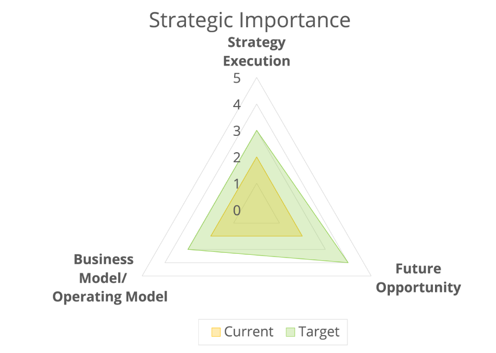 Strategic Importance Dimensions